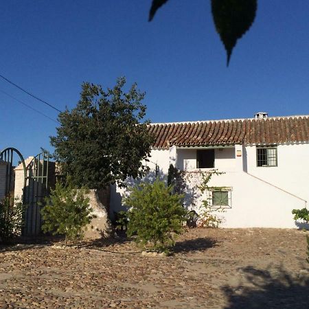 בית הארחה Almodóvar del Río 	Casa Del Almezo מראה חיצוני תמונה
